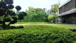 Commonwealth Avenue West (D5), Detached #458632131